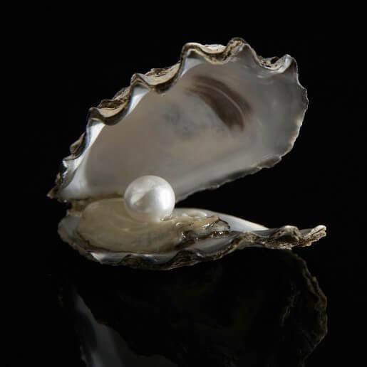 Pearl Jewellery Designer Courses