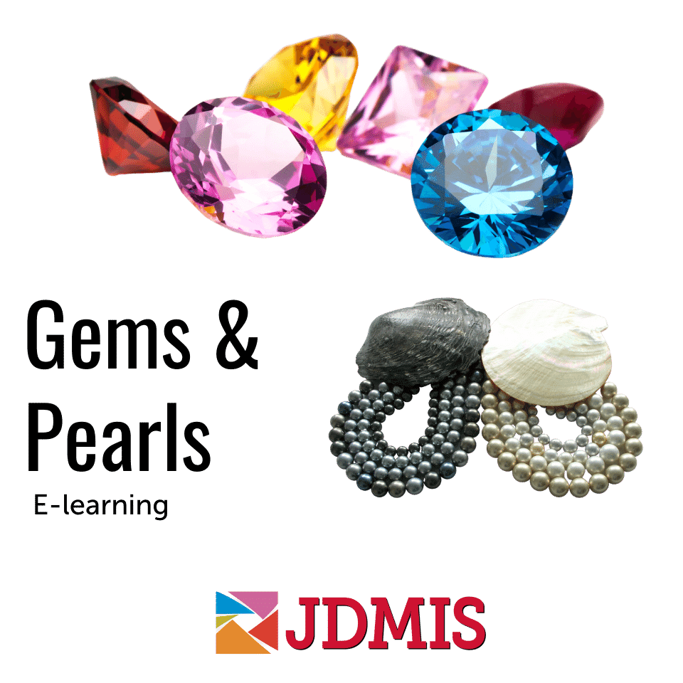 Image of gem and pearl elearning bundle
