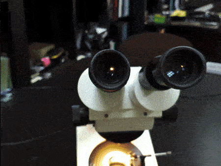 Gem identification course cover