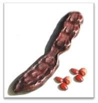 Picture of carob beans original gem carat measurements