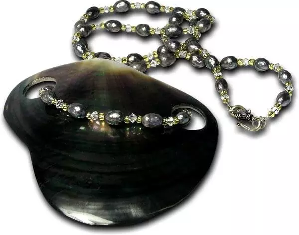 Stunning piece of necklace made with a black oyster