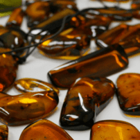Image 115: Amber: A favourite gem throughout history
